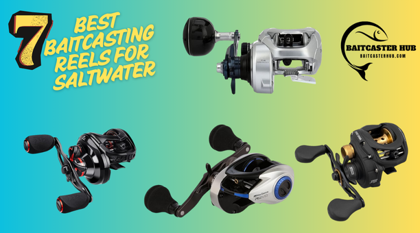 7 Best Baitcasting Reels for Saltwater | Catch Bigger, Better Fish